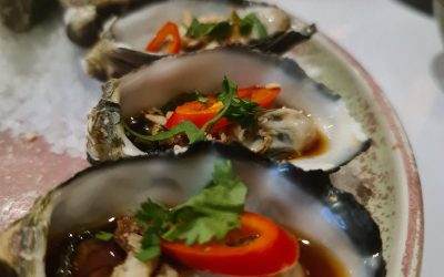 A gourmet delight: Luxurious oysters paired with the perfect drink!