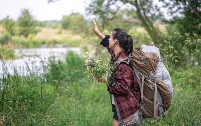 Explore the Perth Hills this winter!