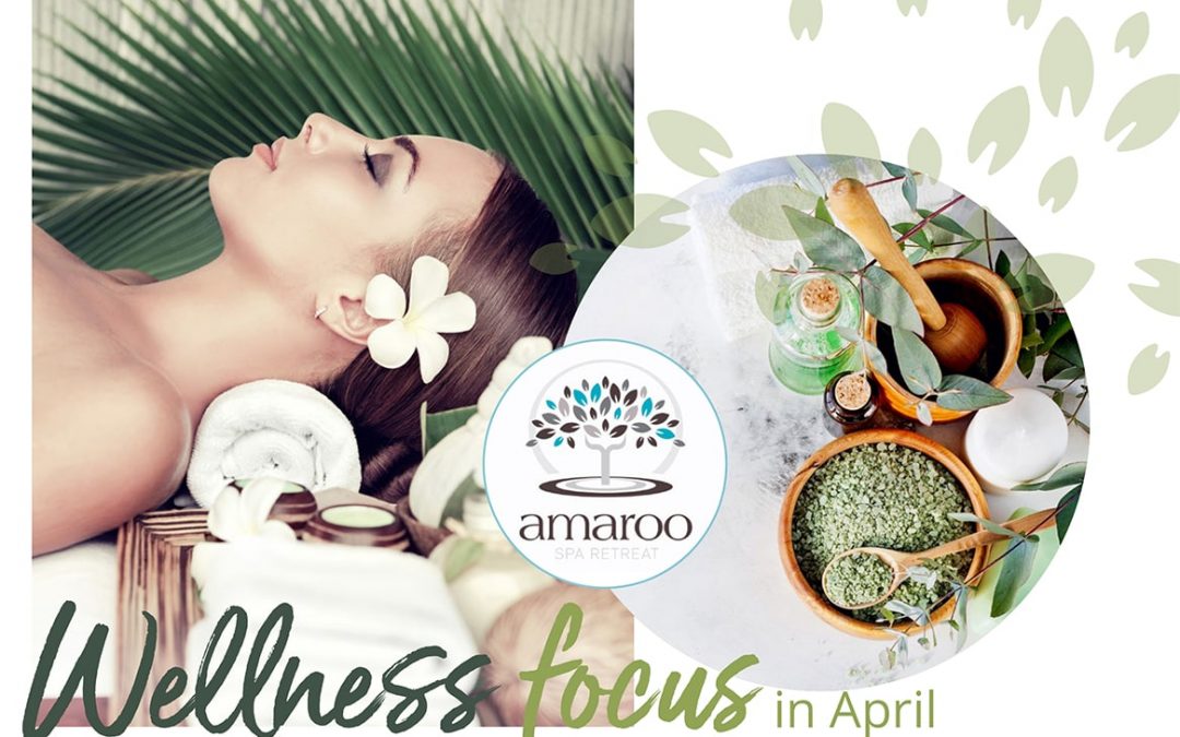 What is wellness and how does it effect your life?